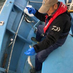 ヤザワ渡船 釣果