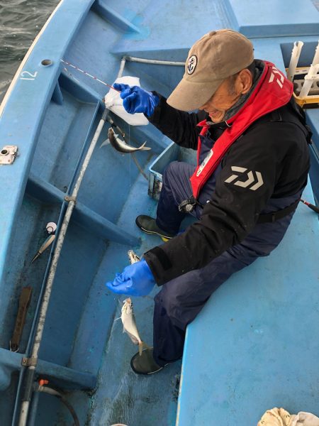 ヤザワ渡船 釣果
