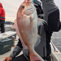 ランスルー 釣果