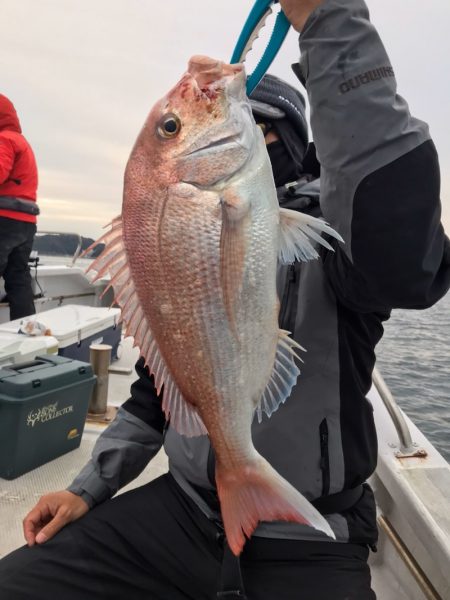 ランスルー 釣果