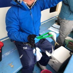 ヤザワ渡船 釣果