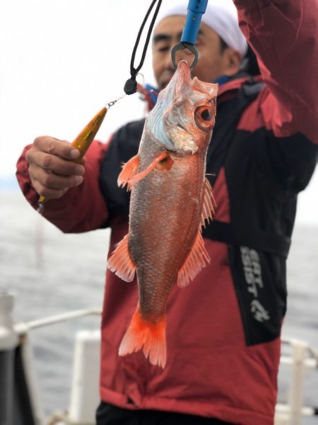 ＴＡＲＯＭＡＲＵ 釣果