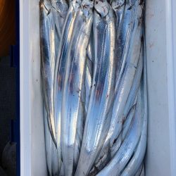 フィッシング キッタカ 釣果