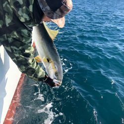 山正丸 釣果