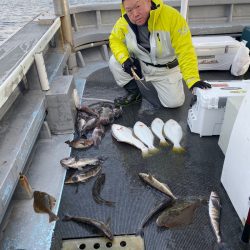 シーランチ 釣果