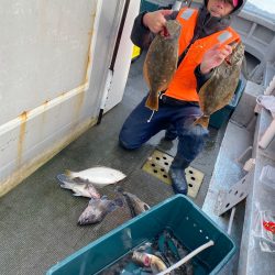 シーランチ 釣果