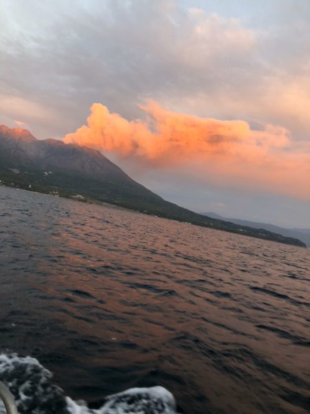 龍神丸(鹿児島) 釣果