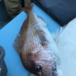 第二八坂丸 釣果