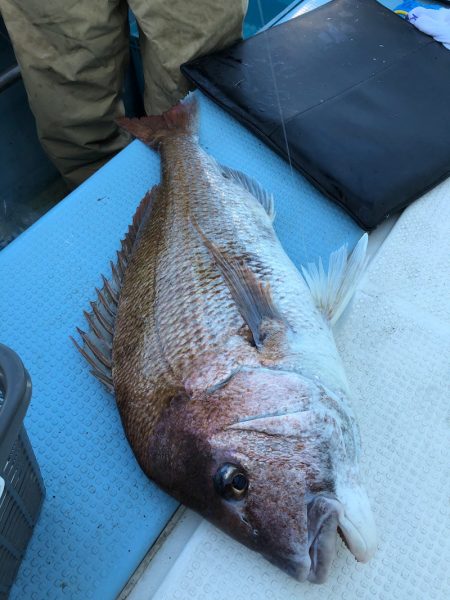 第二八坂丸 釣果