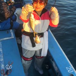 ヤザワ渡船 釣果