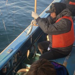 ヤザワ渡船 釣果