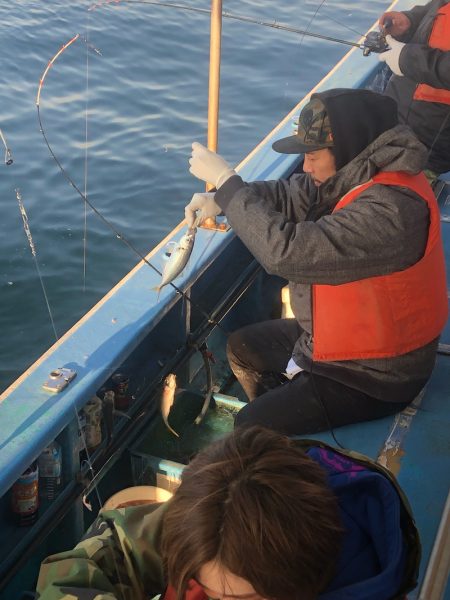 ヤザワ渡船 釣果