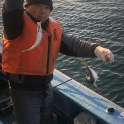 ヤザワ渡船 釣果