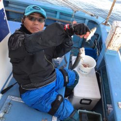 ヤザワ渡船 釣果