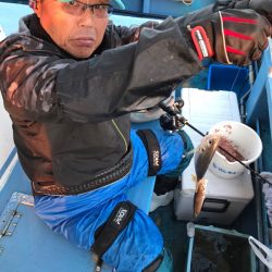 ヤザワ渡船 釣果