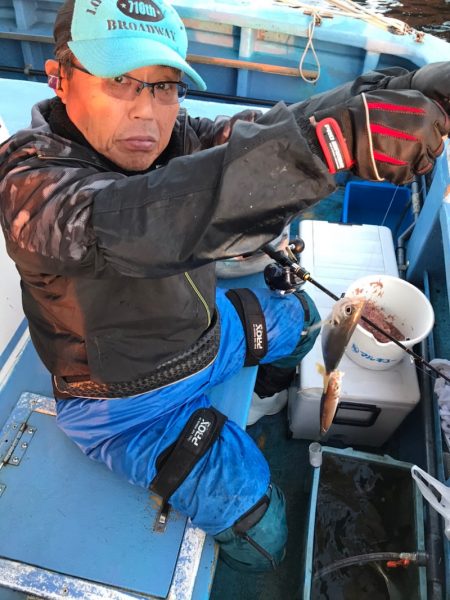 ヤザワ渡船 釣果