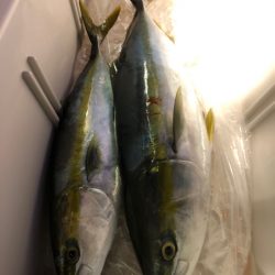 第二八坂丸 釣果