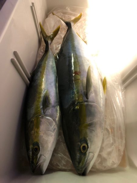 第二八坂丸 釣果