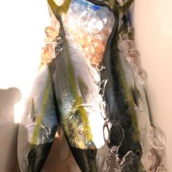 第二八坂丸 釣果