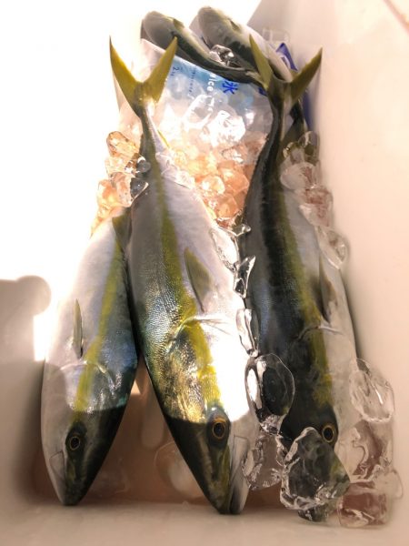 第二八坂丸 釣果