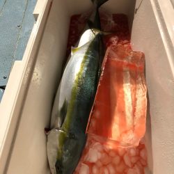 第二八坂丸 釣果