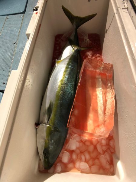 第二八坂丸 釣果