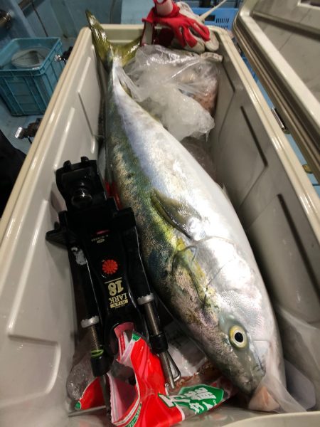 第二八坂丸 釣果