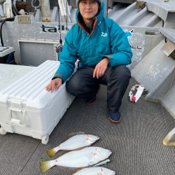 シーランチ 釣果