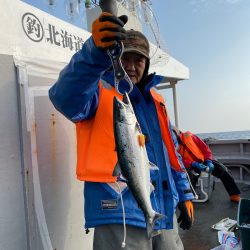 シーランチ 釣果