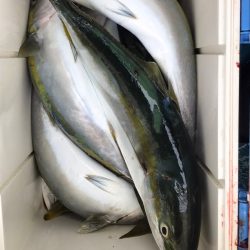 ヤザワ渡船 釣果