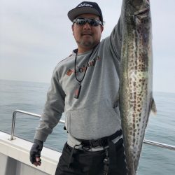 ビッグファイター 釣果