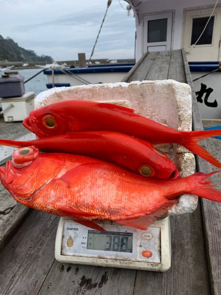 晃山丸 釣果