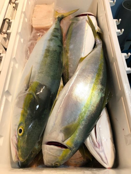 第二八坂丸 釣果