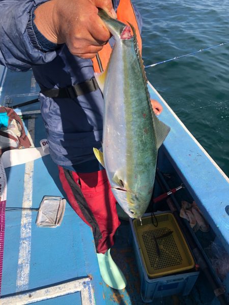 ヤザワ渡船 釣果