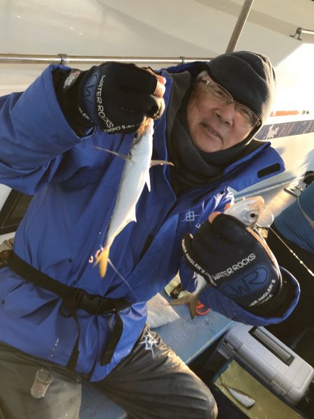 ヤザワ渡船 釣果