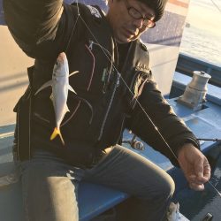 ヤザワ渡船 釣果