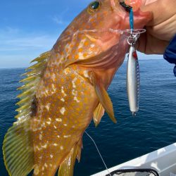 「LaGooN」蒼陽丸 日和号 釣果