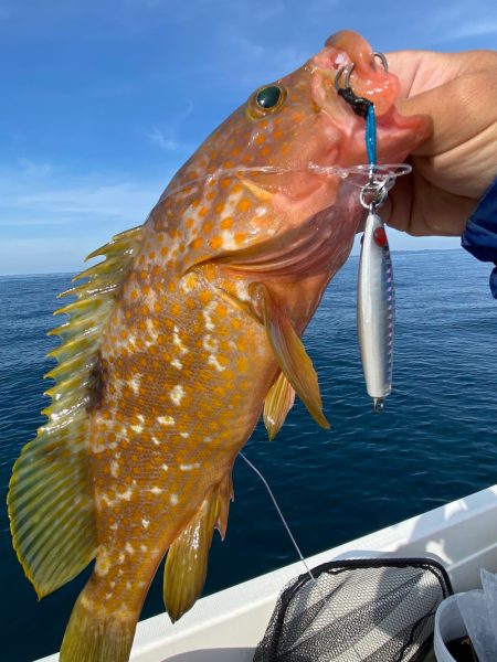 「LaGooN」蒼陽丸 日和号 釣果