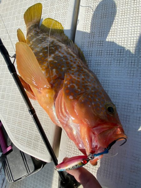 「LaGooN」蒼陽丸 日和号 釣果