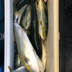 ヤザワ渡船 釣果