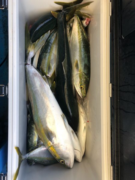 ヤザワ渡船 釣果