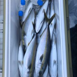 ヤザワ渡船 釣果