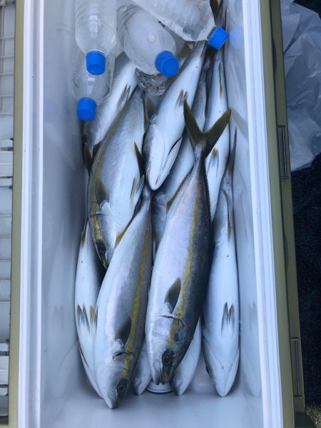 ヤザワ渡船 釣果