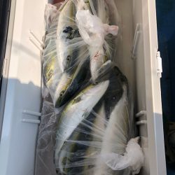 ヤザワ渡船 釣果