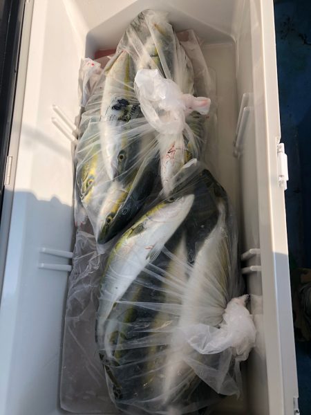 ヤザワ渡船 釣果