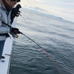 あみや渡船 JIGBOY 釣果