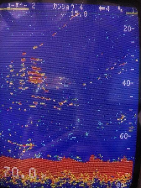 あみや渡船 JIGBOY 釣果