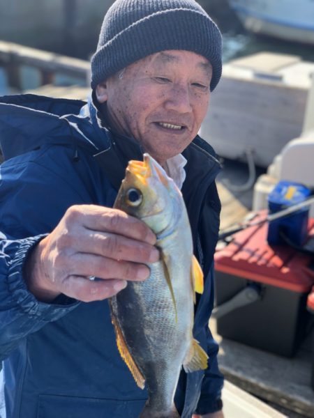丸万釣船 釣果