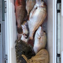 フィッシング キッタカ 釣果