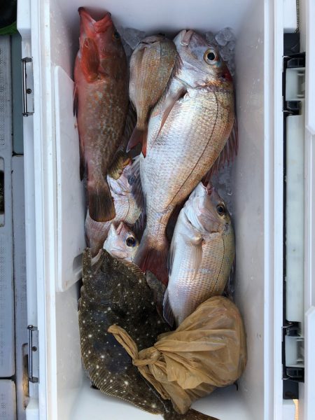 フィッシング キッタカ 釣果